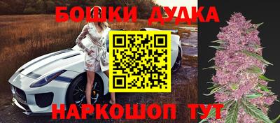 стафф Кандалакша