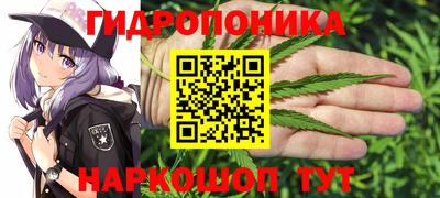 стафф Кандалакша