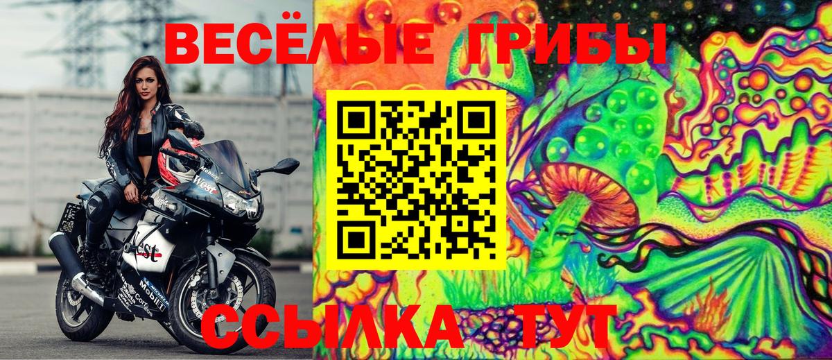 Галлюциногенные грибы Cubensis Лянтор