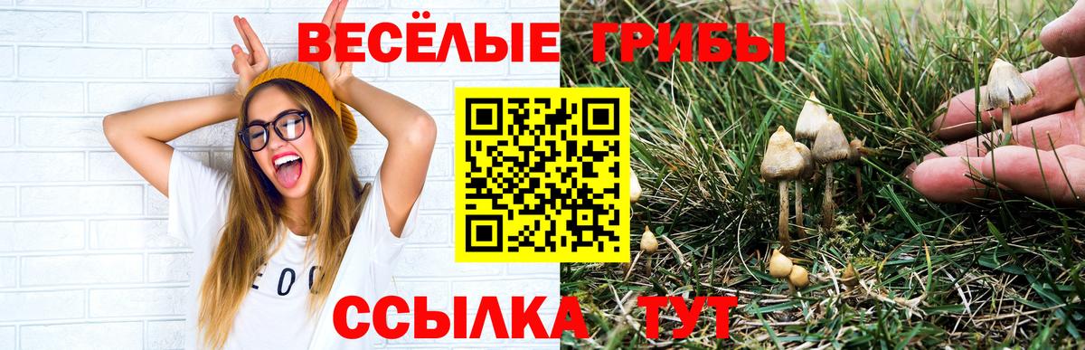 Галлюциногенные грибы MAGIC MUSHROOMS  Вход с VPN  Лянтор 